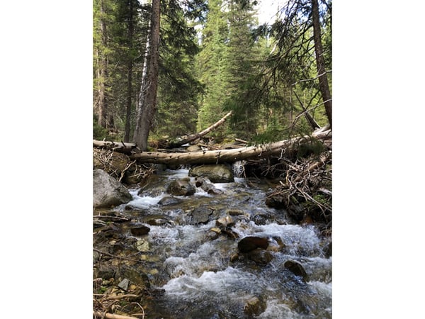 3894 Fourth of July Rd, Nederland, CO