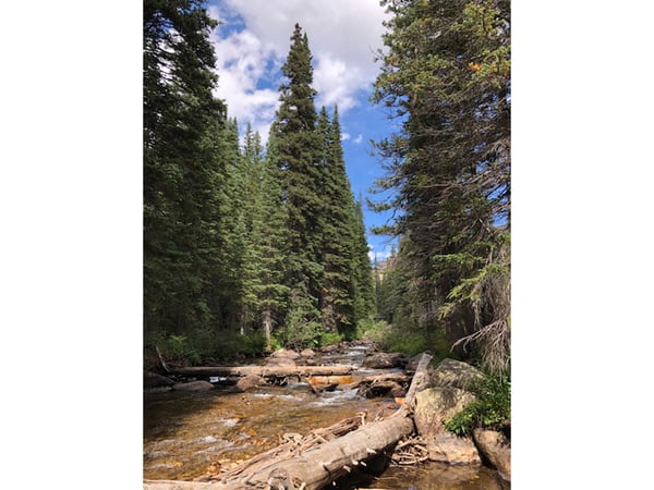 3894 Fourth of July Rd, Nederland, CO