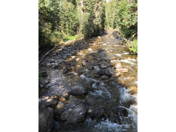 3894 Fourth of July Rd, Nederland, CO