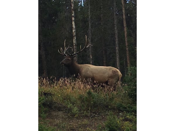 3894 Fourth of July Rd, Nederland, CO