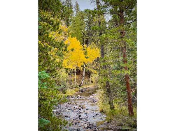 3894 Fourth of July Rd, Nederland, CO
