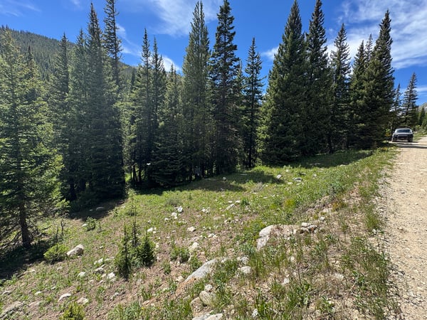 3894 Fourth of July Rd, Nederland, CO