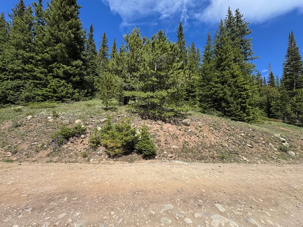 3894 Fourth of July Rd, Nederland, CO