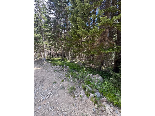 3894 Fourth of July Rd, Nederland, CO