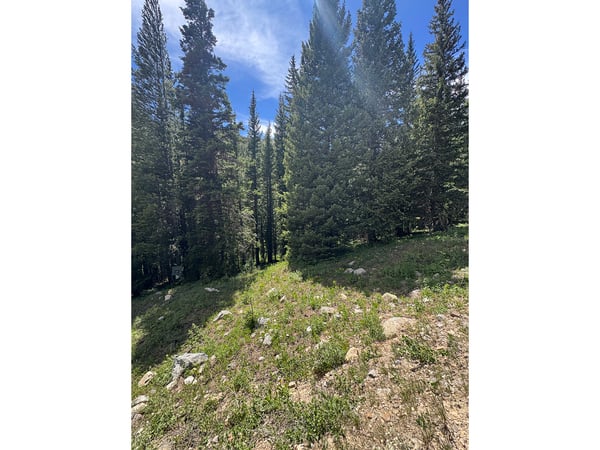 3894 Fourth of July Rd, Nederland, CO