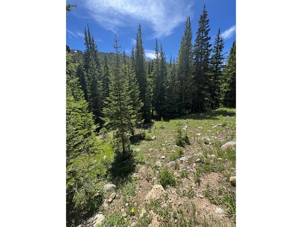3894 Fourth of July Rd, Nederland, CO