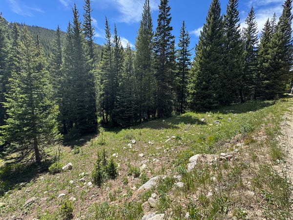 3894 Fourth of July Rd, Nederland, CO