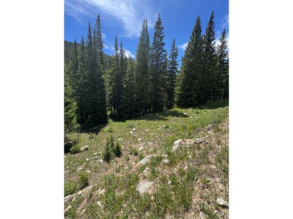 3894 Fourth of July Rd, Nederland, CO