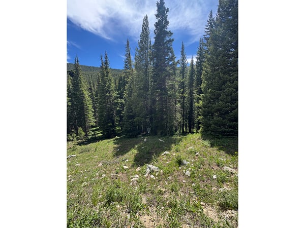 3894 Fourth of July Rd, Nederland, CO