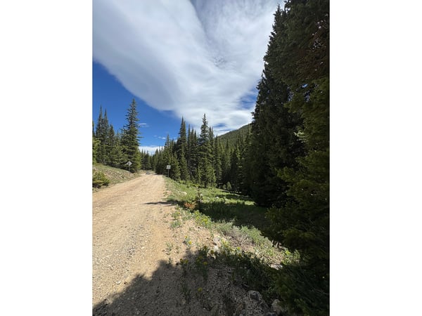3894 Fourth of July Rd, Nederland, CO