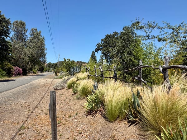 DECORATIVE FENCE WITH NAPA AVENUE
