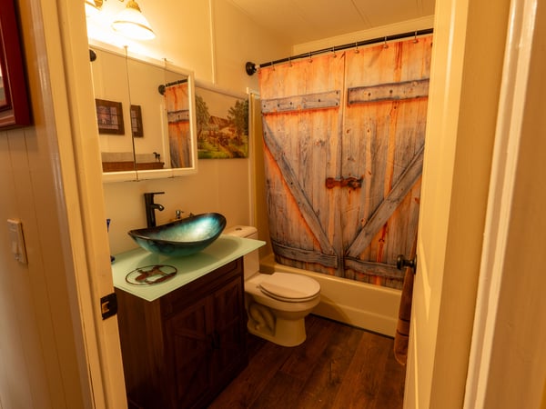 GUEST BATHROOM WITH DECORATIVE SINK BASIN