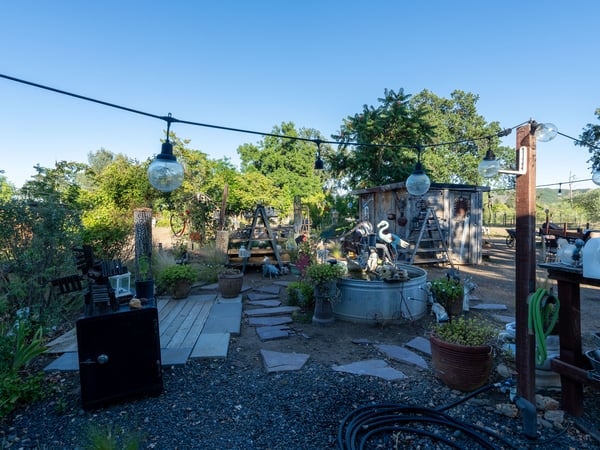 BACK YARD