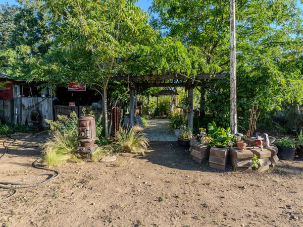 BACK YARD