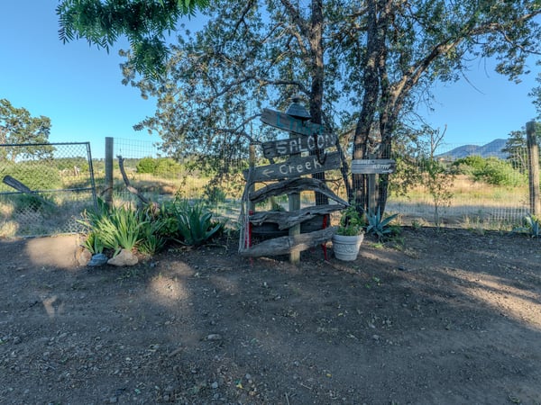 SIDE YARD
