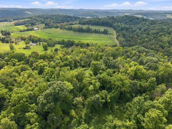 650 Phillis Road, Burgettstown, PA