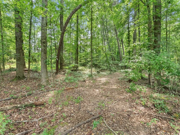Jackson Trail Road, Hoschton, GA