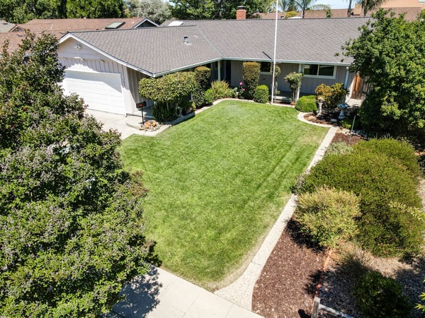 1631 Petri Place , San Jose, CA