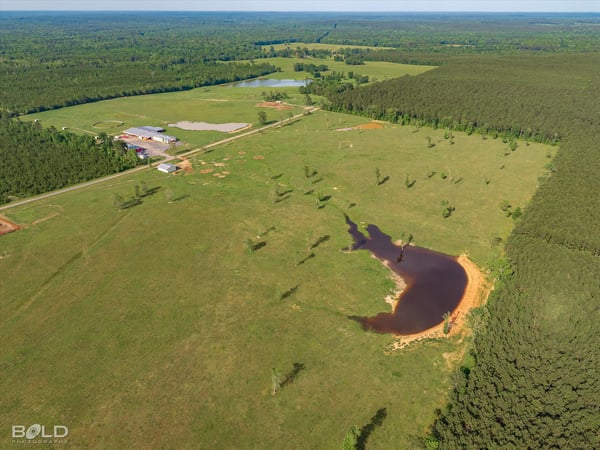 Spacious, picturesque land featuring open fields, a tranquil pond, and surrounding wooded areas, ideal for development.