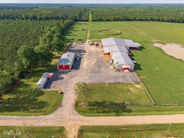 Spacious 20-acre property featuring multiple outbuildings, extensive land for farming, and scenic views.