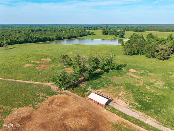 Expansive land featuring a tranquil pond surrounded by lush greenery, ideal for your dream property.