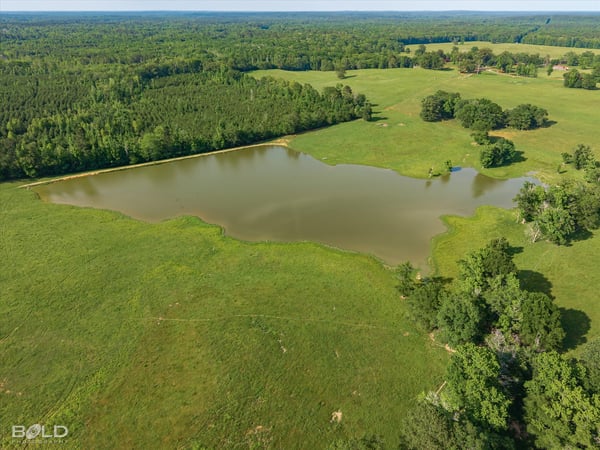 Sprawling lush land with a picturesque pond, perfect for recreational activities and serene country living.