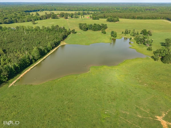 Expansive land featuring a picturesque pond, surrounded by lush greenery and ample space for development.
