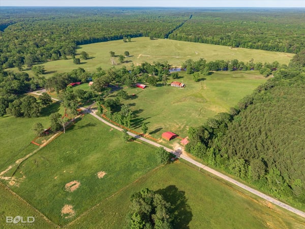 Expansive acreage features lush landscapes, multiple structures, and endless possibilities for custom development or recreation.