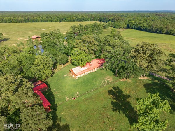 Sprawling acreage features a spacious home, ample outdoor space, and stunning natural surroundings—ideal for country living.