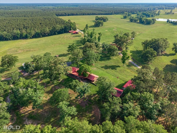 Sprawling ranch property with expansive greenery, scenic views, and multiple outbuildings nestled in nature.