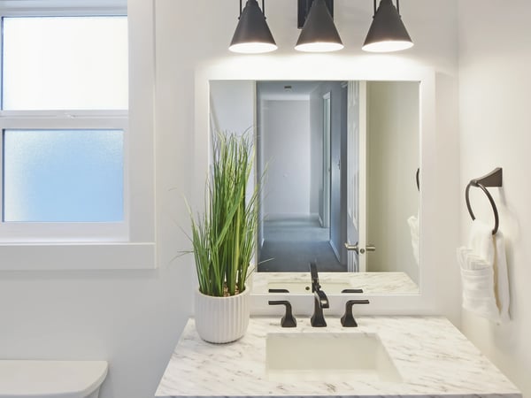 Modern bathroom featuring a sleek marble countertop, contemporary lighting, and a refreshing greenery accent.