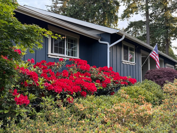 Cozy home featuring vibrant landscaping and a welcoming façade, perfect for enjoying outdoor moments.