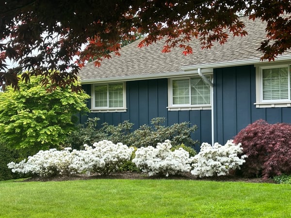 Discover a beautifully landscaped home featuring vibrant flowers and lush greenery in a peaceful neighborhood setting.