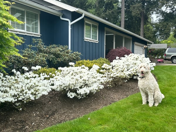 This well-maintained home features vibrant landscaping and a welcoming atmosphere, perfect for family gatherings.