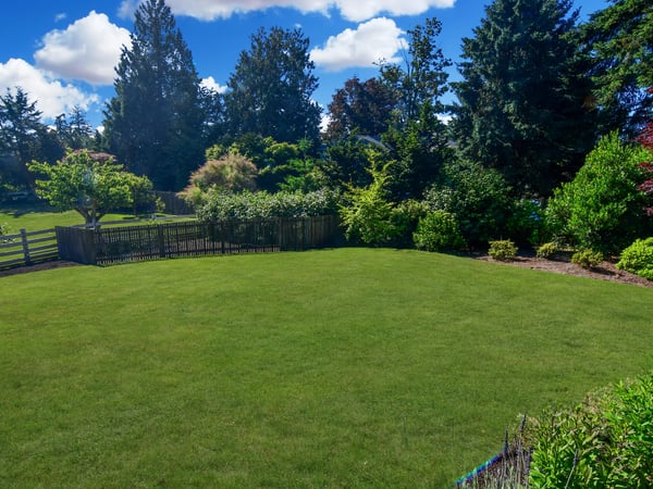 Spacious, lush backyard surrounded by mature trees, offering a private retreat for outdoor activities and gatherings.