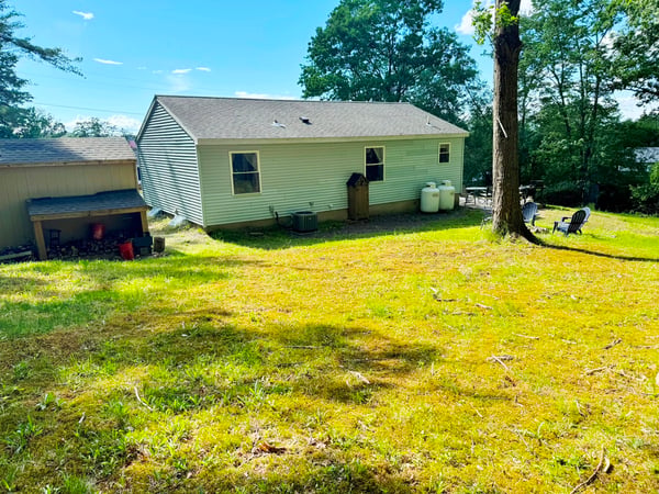 Back Yard with Shed