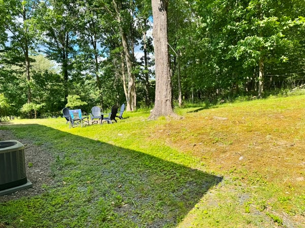 Back Yard and Woods