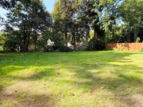 Level Back Yard