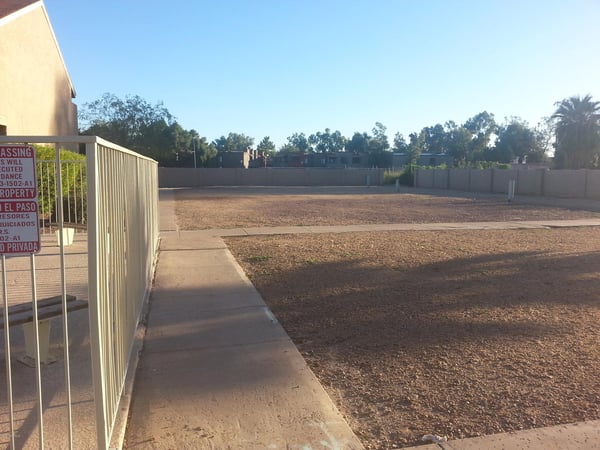 Large shared outdoor area offers plenty of open space complemented by mature landscaping, enhancing the peaceful setting throughout the community.