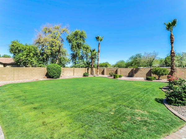 The professionally landscaped backyard offers a generous lawn, mature palm trees, established landscaping, and ample room for entertaining. A peaceful outdoor setting enhances this Glendale home.