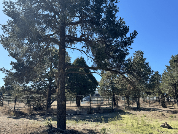 36 Williams Road, Edgewood, NM