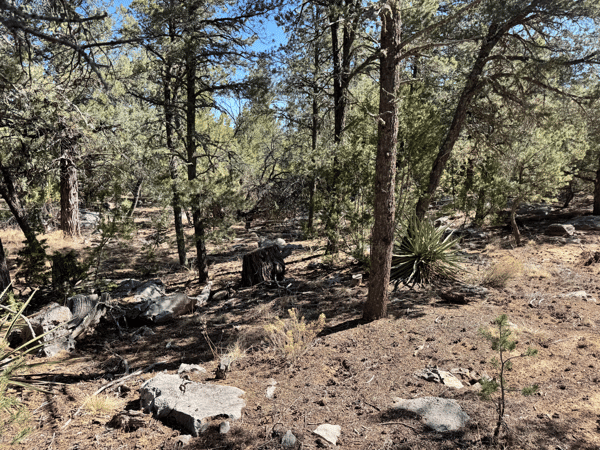 36 Williams Road, Edgewood, NM