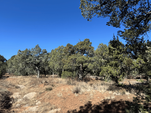 36 Williams Road, Edgewood, NM