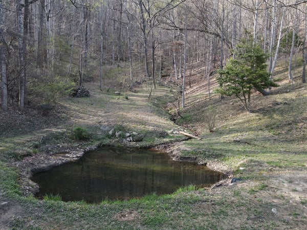 337 Roberson School Rd., Moravian Falls, NC