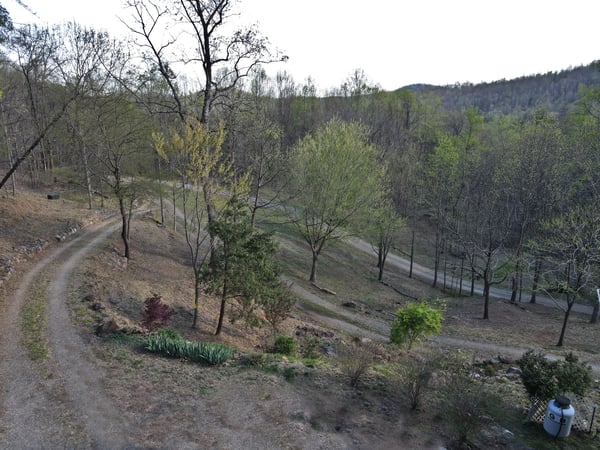 337 Roberson School Rd., Moravian Falls, NC