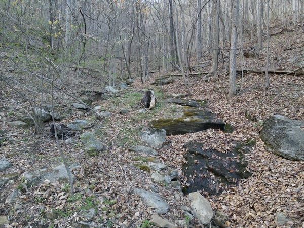 337 Roberson School Rd., Moravian Falls, NC