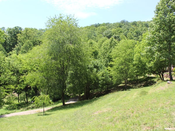 337 Roberson School Rd., Moravian Falls, NC