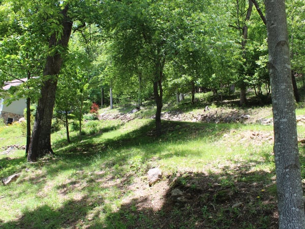 337 Roberson School Rd., Moravian Falls, NC