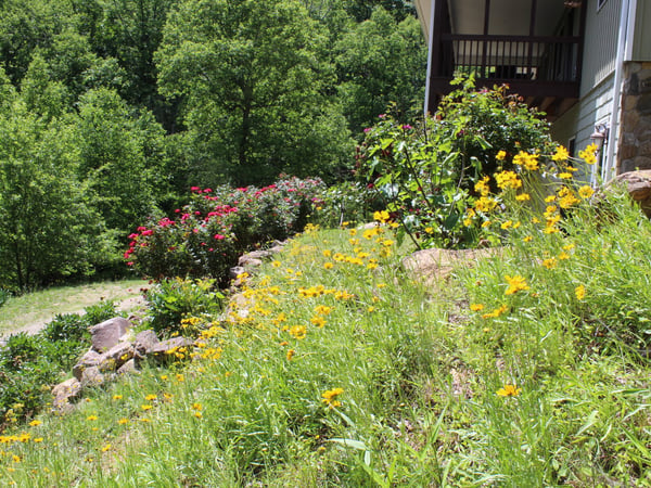 337 Roberson School Rd., Moravian Falls, NC