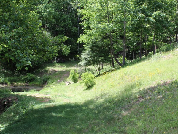337 Roberson School Rd., Moravian Falls, NC